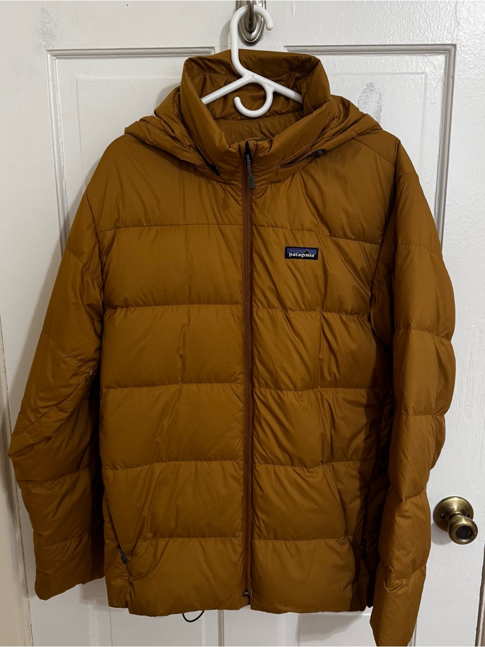 Patagonia Men’s Hooded Puffer Jacket in Rust